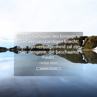 Picture 05 - Spreuken 14:35 NLD - Het welbehagen des konings is over een - Bible Verse Picture