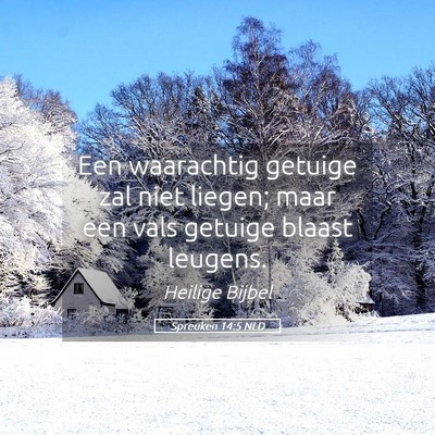 Picture 05 - Spreuken 14:5 NLD - Een waarachtig getuige zal niet liegen; maar een - Bible Verse Picture