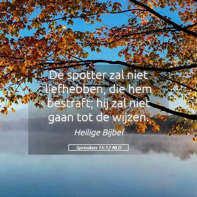Picture 05 - Spreuken 15:12 NLD - De spotter zal niet liefhebben, die hem bestraft; - Bible Verse Picture