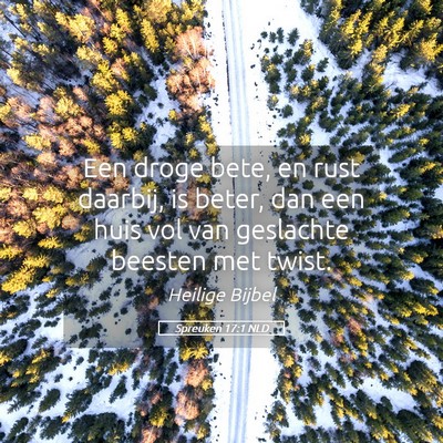 Picture 05 - Spreuken 17:1 NLD - Een droge bete, en rust daarbij, is beter, dan - Bible Verse Picture
