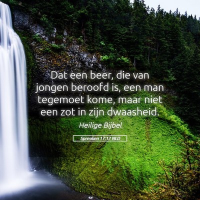 Picture 05 - Spreuken 17:12 NLD - Dat een beer, die van jongen beroofd is, een man - Bible Verse Picture