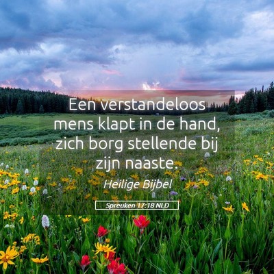 Picture 05 - Spreuken 17:18 NLD - Een verstandeloos mens klapt in de hand, zich - Bible Verse Picture