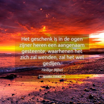 Picture 05 - Spreuken 17:8 NLD - Het geschenk is in de ogen zijner heren een - Bible Verse Picture