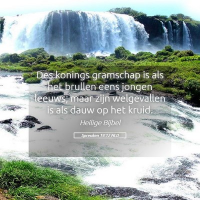 Picture 05 - Spreuken 19:12 NLD - Des konings gramschap is als het brullen eens - Bible Verse Picture