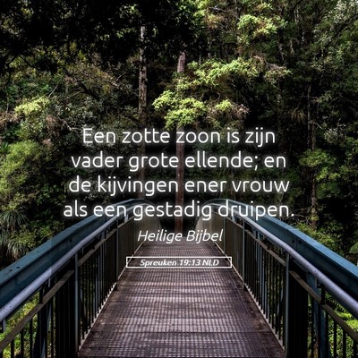 Picture 05 - Spreuken 19:13 NLD - Een zotte zoon is zijn vader grote ellende; en de - Bible Verse Picture