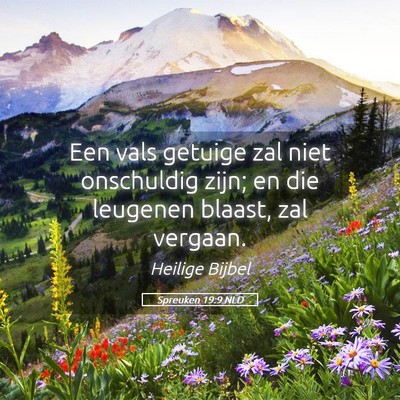 Picture 05 - Spreuken 19:9 NLD - Een vals getuige zal niet onschuldig zijn; en die - Bible Verse Picture