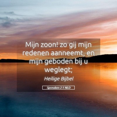 Picture 05 - Spreuken 2:1 NLD - Mijn zoon! zo gij mijn redenen aanneemt, en mijn - Bible Verse Picture
