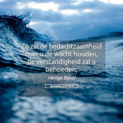 Picture 05 - Spreuken 2:11 NLD - Zo zal de bedachtzaamheid over u de wacht houden, - Bible Verse Picture