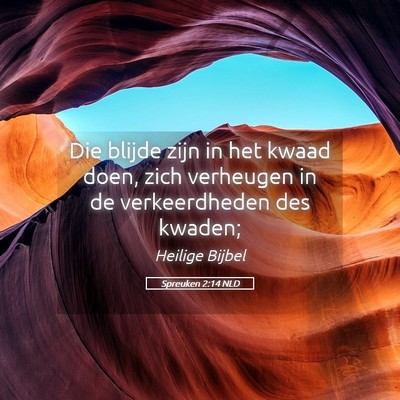 Picture 05 - Spreuken 2:14 NLD - Die blijde zijn in het kwaad doen, zich verheugen - Bible Verse Picture