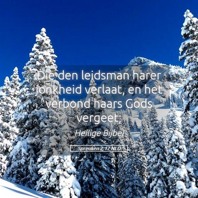 Picture 05 - Spreuken 2:17 NLD - Die den leidsman harer jonkheid verlaat, en het - Bible Verse Picture