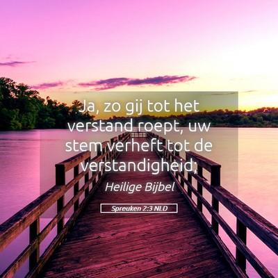 Picture 05 - Spreuken 2:3 NLD - Ja, zo gij tot het verstand roept, uw stem - Bible Verse Picture