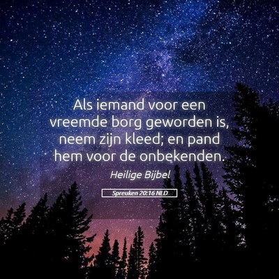 Picture 05 - Spreuken 20:16 NLD - Als iemand voor een vreemde borg geworden is, - Bible Verse Picture