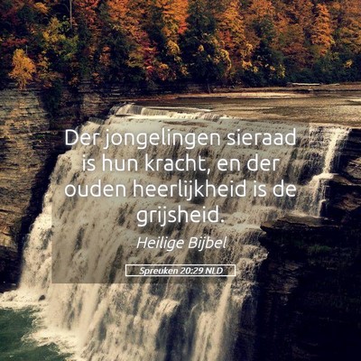 Picture 05 - Spreuken 20:29 NLD - Der jongelingen sieraad is hun kracht, en der - Bible Verse Picture