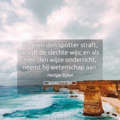 Picture 05 - Spreuken 21:11 NLD - Als men den spotter straft, wordt de slechte - Bible Verse Picture