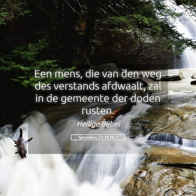 Picture 05 - Spreuken 21:16 NLD - Een mens, die van den weg des verstands afdwaalt, - Bible Verse Picture