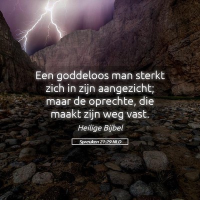 Picture 05 - Spreuken 21:29 NLD - Een goddeloos man sterkt zich in zijn aangezicht; - Bible Verse Picture