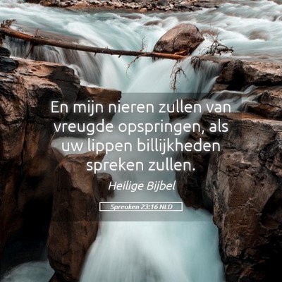 Picture 05 - Spreuken 23:16 NLD - En mijn nieren zullen van vreugde opspringen, als - Bible Verse Picture