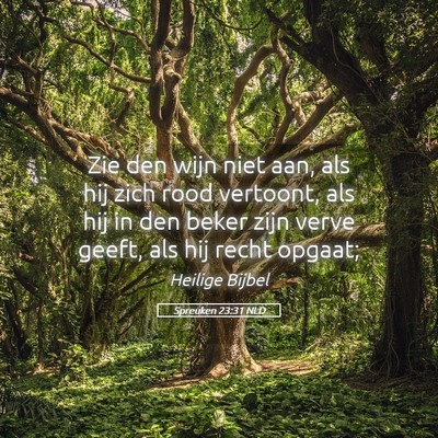 Picture 05 - Spreuken 23:31 NLD - Zie den wijn niet aan, als hij zich rood - Bible Verse Picture