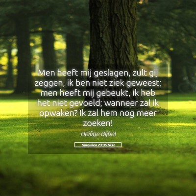 Picture 05 - Spreuken 23:35 NLD - Men heeft mij geslagen, zult gij zeggen, ik ben - Bible Verse Picture