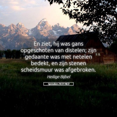 Picture 05 - Spreuken 24:31 NLD - En ziet, hij was gans opgeschoten van distelen; - Bible Verse Picture