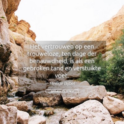 Picture 05 - Spreuken 25:19 NLD - Het vertrouwen op een trouweloze, ten dage der - Bible Verse Picture