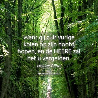 Picture 05 - Spreuken 25:22 NLD - Want gij zult vurige kolen op zijn hoofd hopen, - Bible Verse Picture
