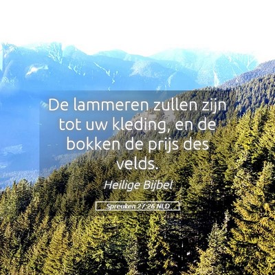 Picture 05 - Spreuken 27:26 NLD - De lammeren zullen zijn tot uw kleding, en de - Bible Verse Picture