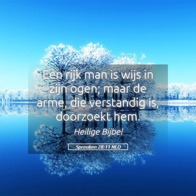 Picture 05 - Spreuken 28:11 NLD - Een rijk man is wijs in zijn ogen; maar de arme, - Bible Verse Picture