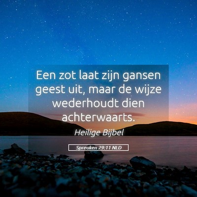 Picture 05 - Spreuken 29:11 NLD - Een zot laat zijn gansen geest uit, maar de wijze - Bible Verse Picture