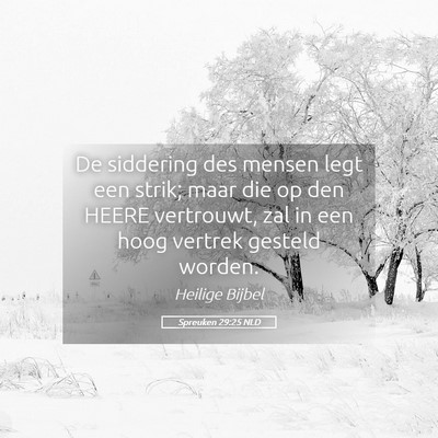 Picture 05 - Spreuken 29:25 NLD - De siddering des mensen legt een strik; maar die - Bible Verse Picture