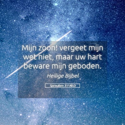 Picture 05 - Spreuken 3:1 NLD - Mijn zoon! vergeet mijn wet niet, maar uw hart - Bible Verse Picture