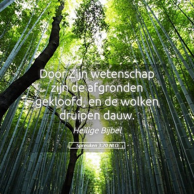 Picture 05 - Spreuken 3:20 NLD - Door Zijn wetenschap zijn de afgronden gekloofd, - Bible Verse Picture