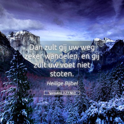 Picture 05 - Spreuken 3:23 NLD - Dan zult gij uw weg zeker wandelen, en gij zult - Bible Verse Picture
