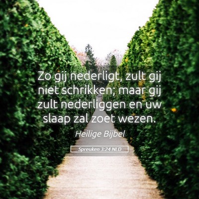 Picture 05 - Spreuken 3:24 NLD - Zo gij nederligt, zult gij niet schrikken; maar - Bible Verse Picture