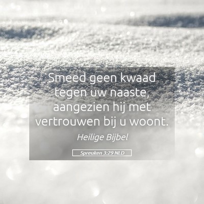 Picture 05 - Spreuken 3:29 NLD - Smeed geen kwaad tegen uw naaste, aangezien hij - Bible Verse Picture
