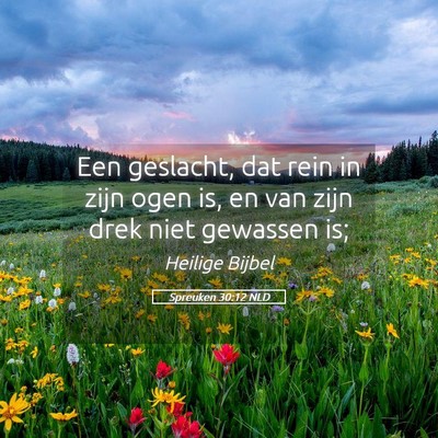 Picture 05 - Spreuken 30:12 NLD - Een geslacht, dat rein in zijn ogen is, en van - Bible Verse Picture
