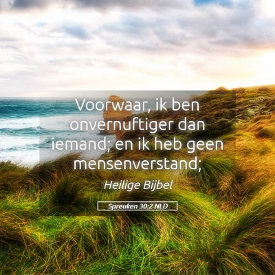 Picture 05 - Spreuken 30:2 NLD - Voorwaar, ik ben onvernuftiger dan iemand; en ik - Bible Verse Picture