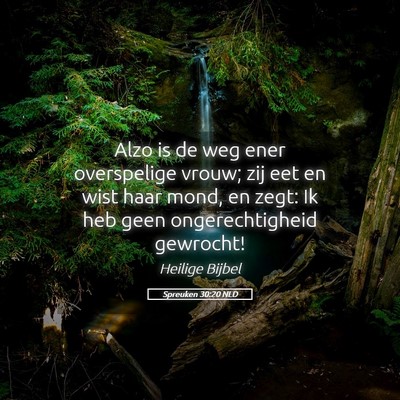 Picture 05 - Spreuken 30:20 NLD - Alzo is de weg ener overspelige vrouw; zij eet en - Bible Verse Picture