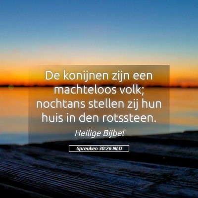 Picture 05 - Spreuken 30:26 NLD - De konijnen zijn een machteloos volk; nochtans - Bible Verse Picture