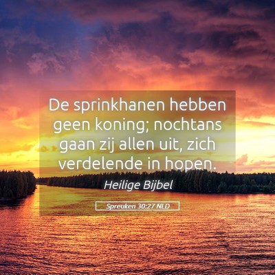 Picture 05 - Spreuken 30:27 NLD - De sprinkhanen hebben geen koning; nochtans gaan - Bible Verse Picture