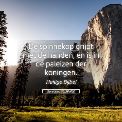 Picture 05 - Spreuken 30:28 NLD - De spinnekop grijpt met de handen, en is in de - Bible Verse Picture