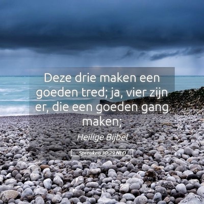 Picture 05 - Spreuken 30:29 NLD - Deze drie maken een goeden tred; ja, vier zijn - Bible Verse Picture
