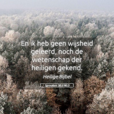 Picture 05 - Spreuken 30:3 NLD - En ik heb geen wijsheid geleerd, noch de - Bible Verse Picture