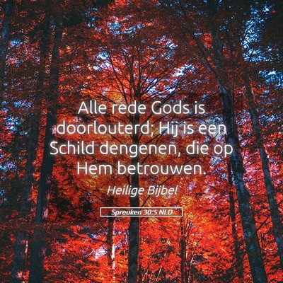 Picture 05 - Spreuken 30:5 NLD - Alle rede Gods is doorlouterd; Hij is een Schild - Bible Verse Picture