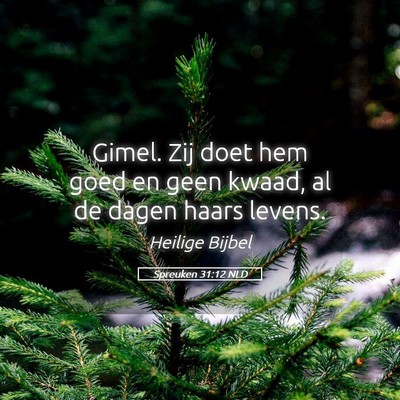 Picture 05 - Spreuken 31:12 NLD - Gimel. Zij doet hem goed en geen kwaad, al de - Bible Verse Picture