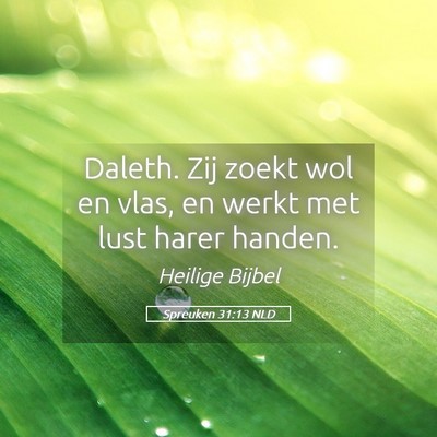 Picture 05 - Spreuken 31:13 NLD - Daleth. Zij zoekt wol en vlas, en werkt met lust - Bible Verse Picture
