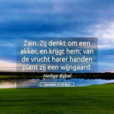 Picture 05 - Spreuken 31:16 NLD - Zain. Zij denkt om een akker, en krijgt hem; van - Bible Verse Picture