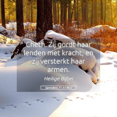 Picture 05 - Spreuken 31:17 NLD - Cheth. Zij gordt haar lenden met kracht, en zij - Bible Verse Picture