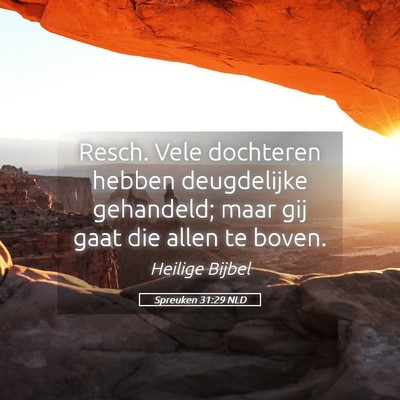 Picture 05 - Spreuken 31:29 NLD - Resch. Vele dochteren hebben deugdelijke - Bible Verse Picture