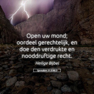 Picture 05 - Spreuken 31:9 NLD - Open uw mond; oordeel gerechtelijk, en doe den - Bible Verse Picture